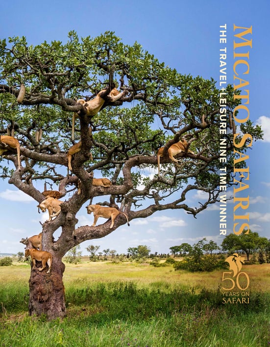 Africa Brochure Cover 2019